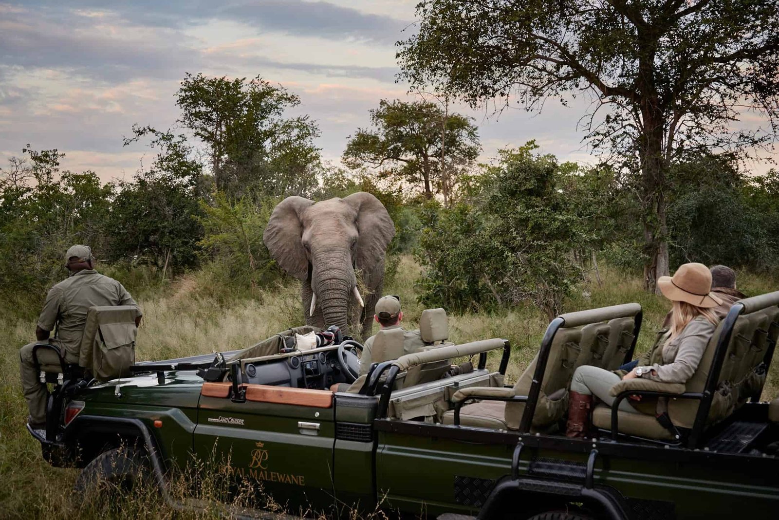 Royal Malewane Masiya's Camp en Kruger National Park