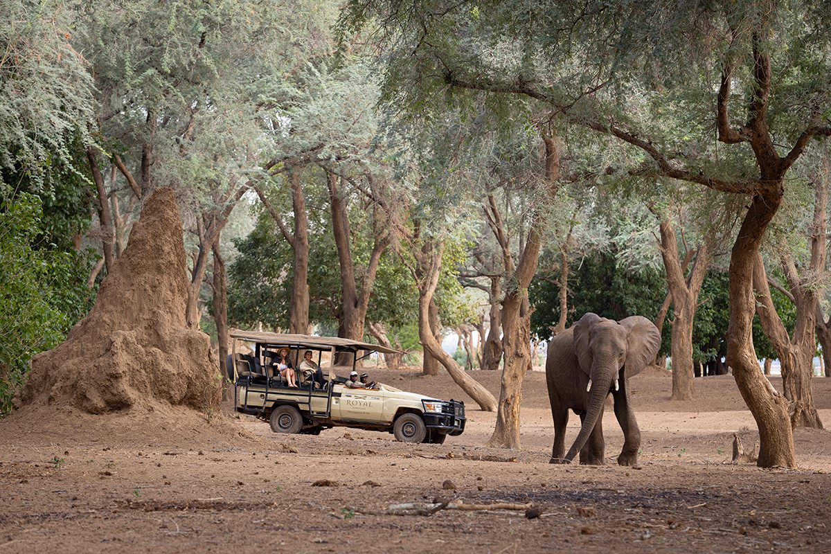 Days 2 4 royal zambezi lodge h