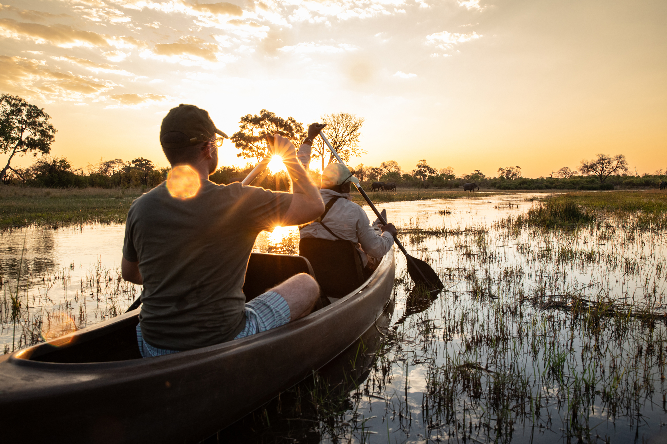 Selinda Explorers Camp en Reserva de Selinda