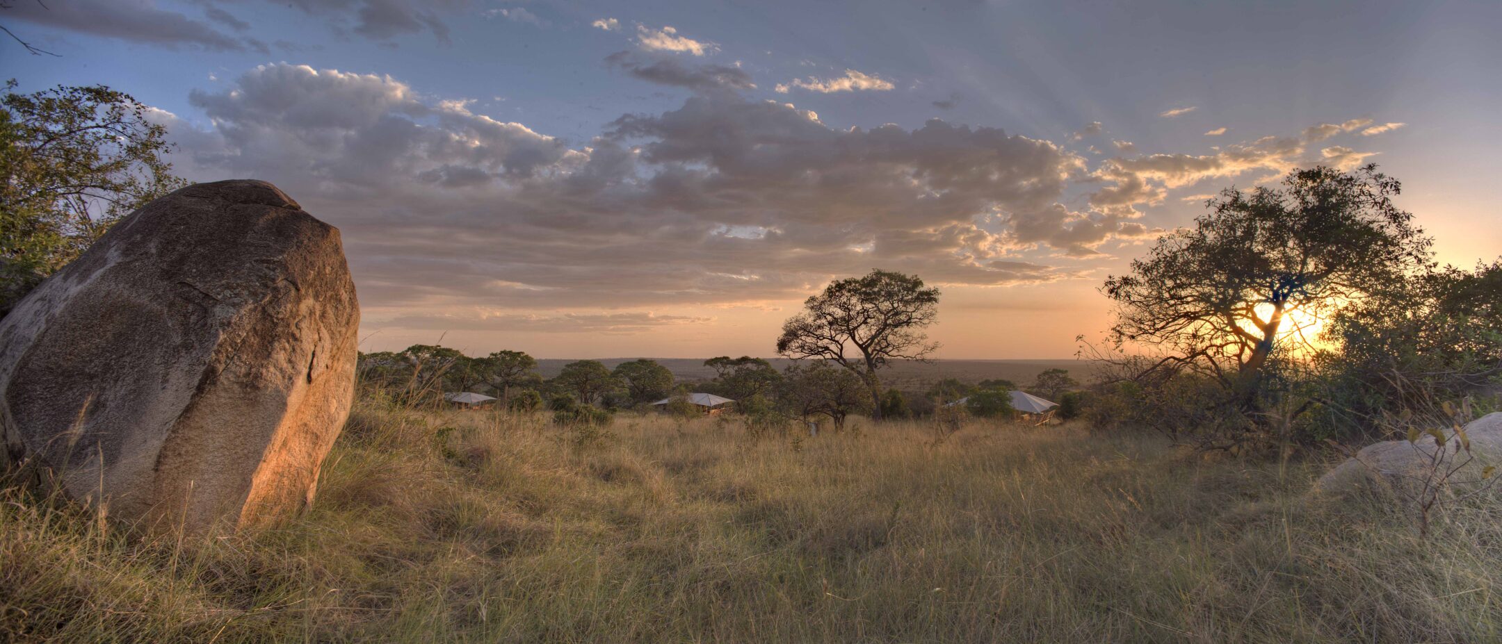 Serengeti bushtops 47
