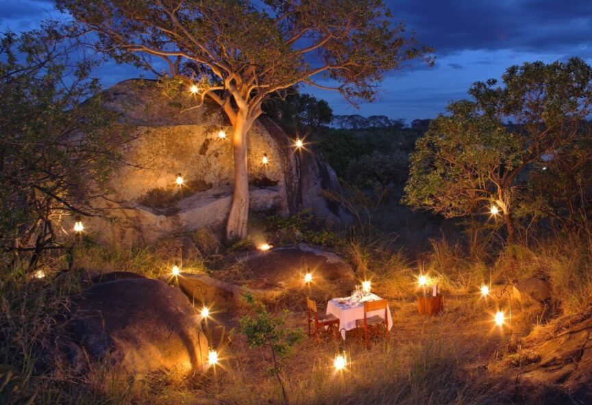 Serengeti bushtops 37 scaled e1601885969290