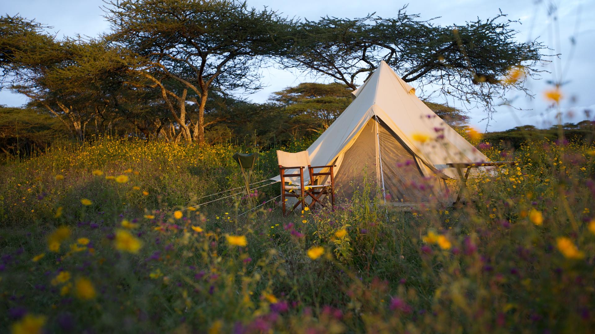 Serian's Serengeti South en Ngorongoro