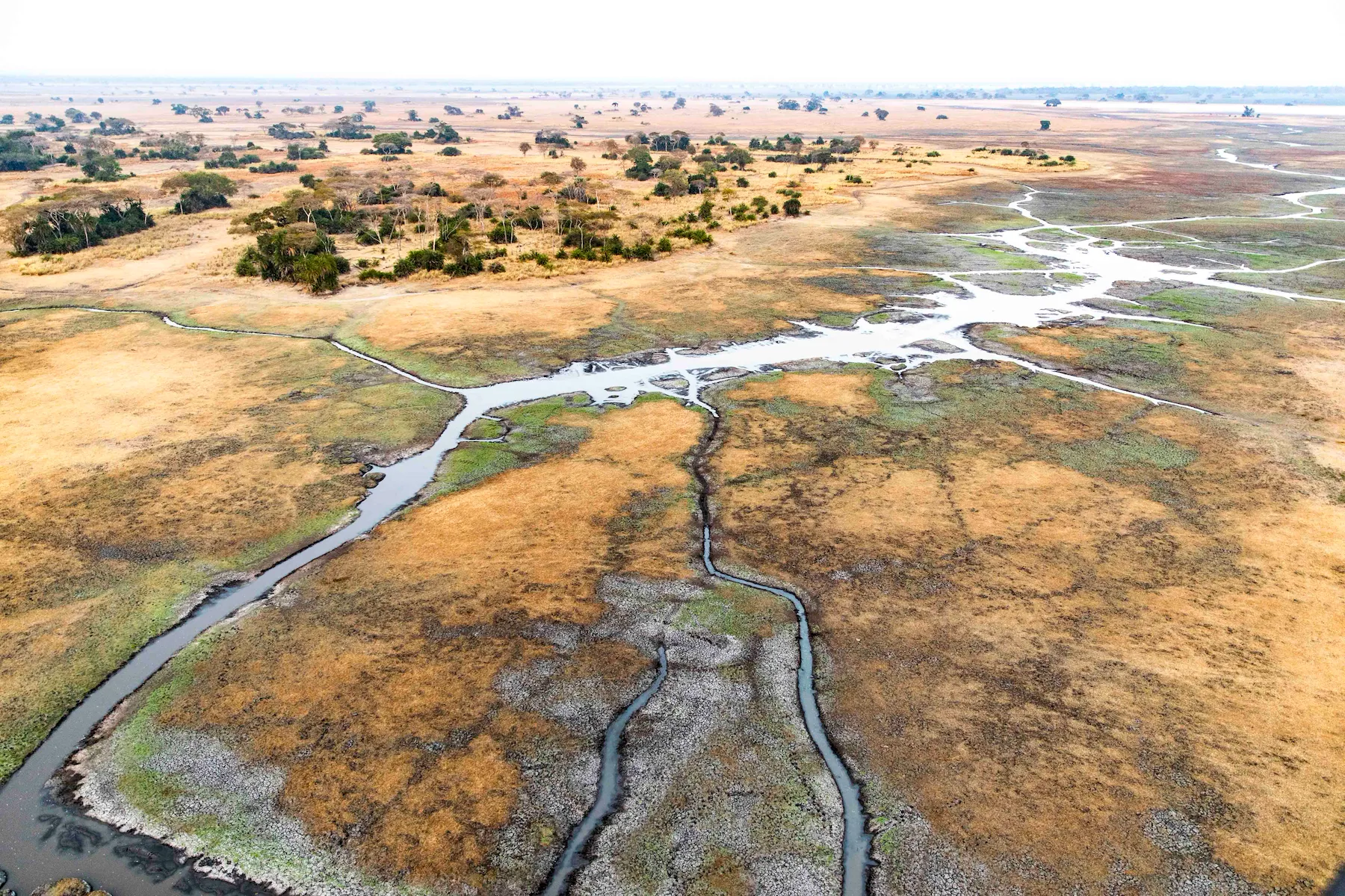 Shumba Camp en Busanga Plains