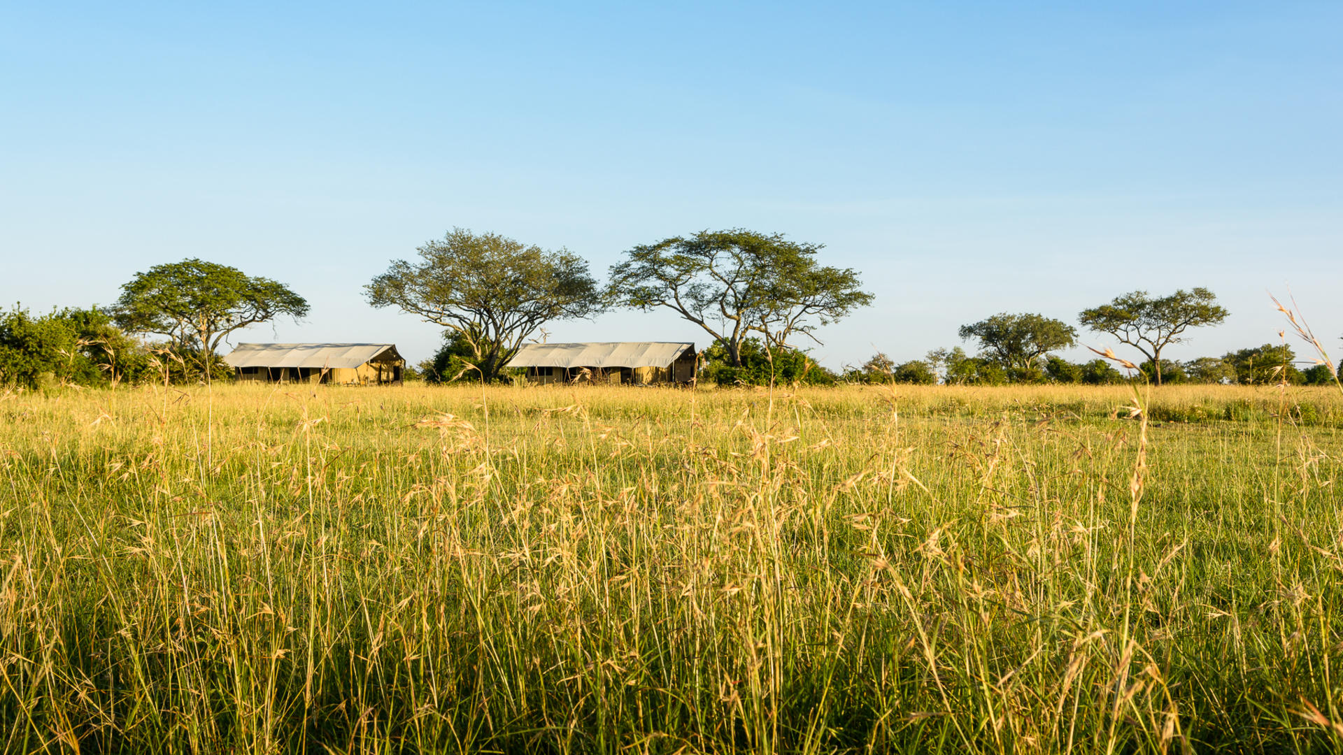 Singita Explore en Serengeti