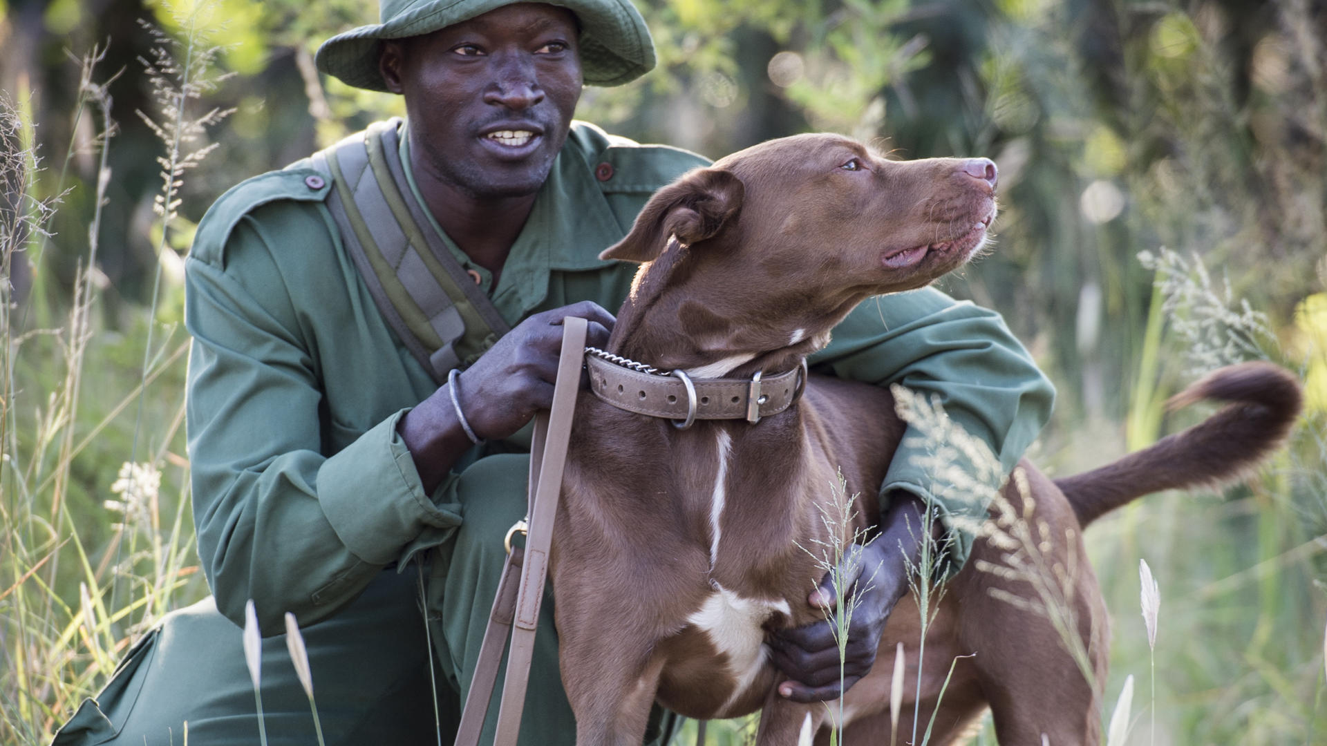 Mike sutherland grumeti fund scouts dogs 24 of 209