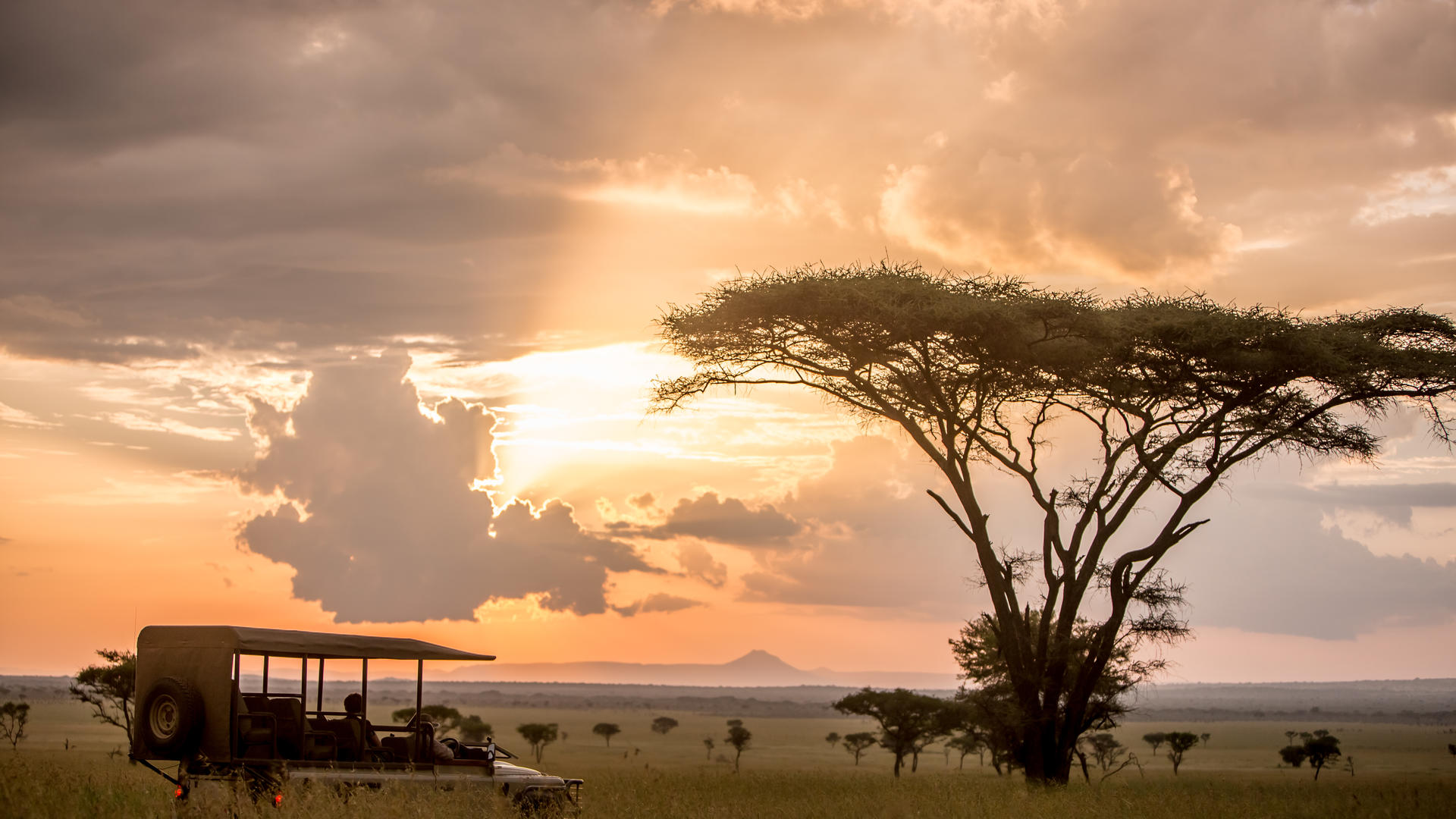 1765278393208singita grumetigame drive and landscape