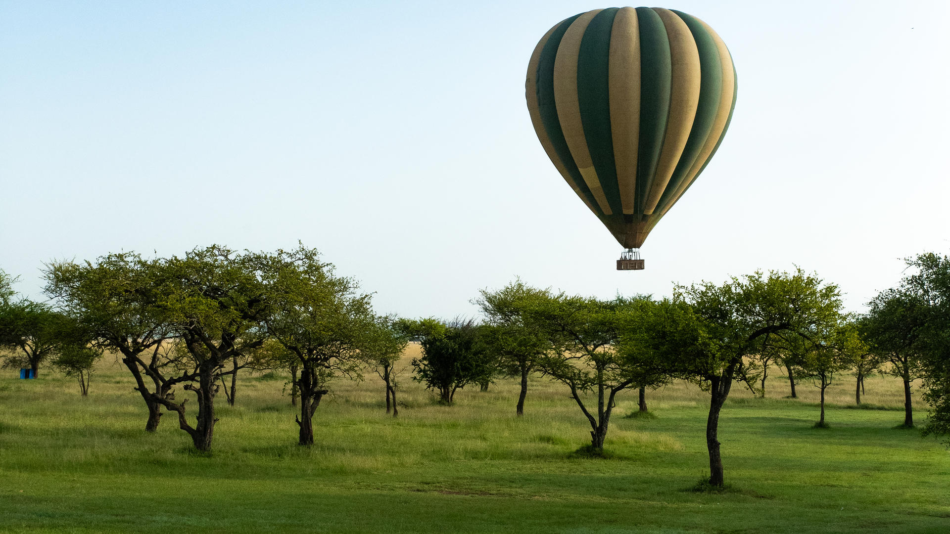 1765275605683felix studios singita grumeti may