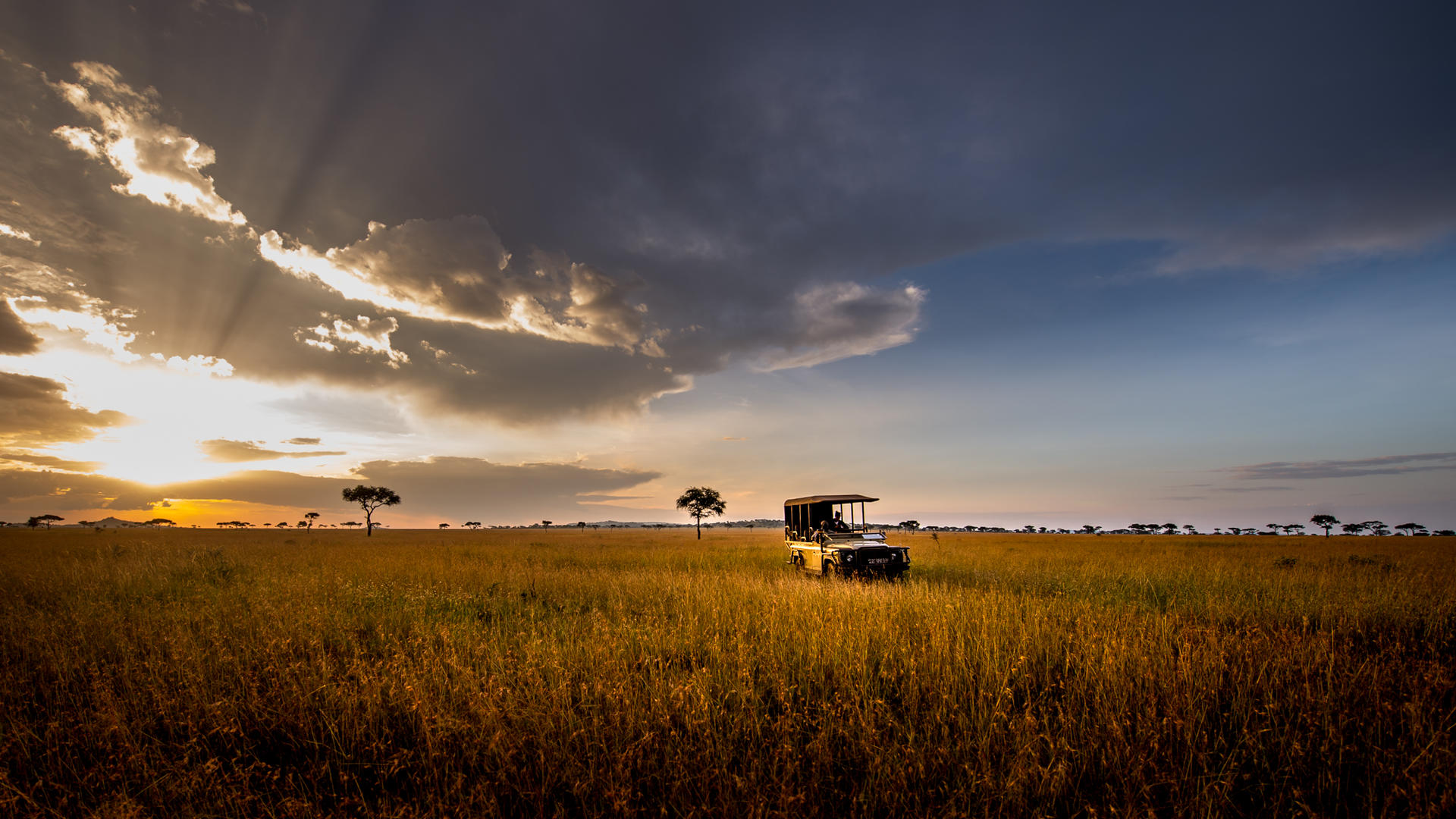 Sgr activities game drive august 2022 7