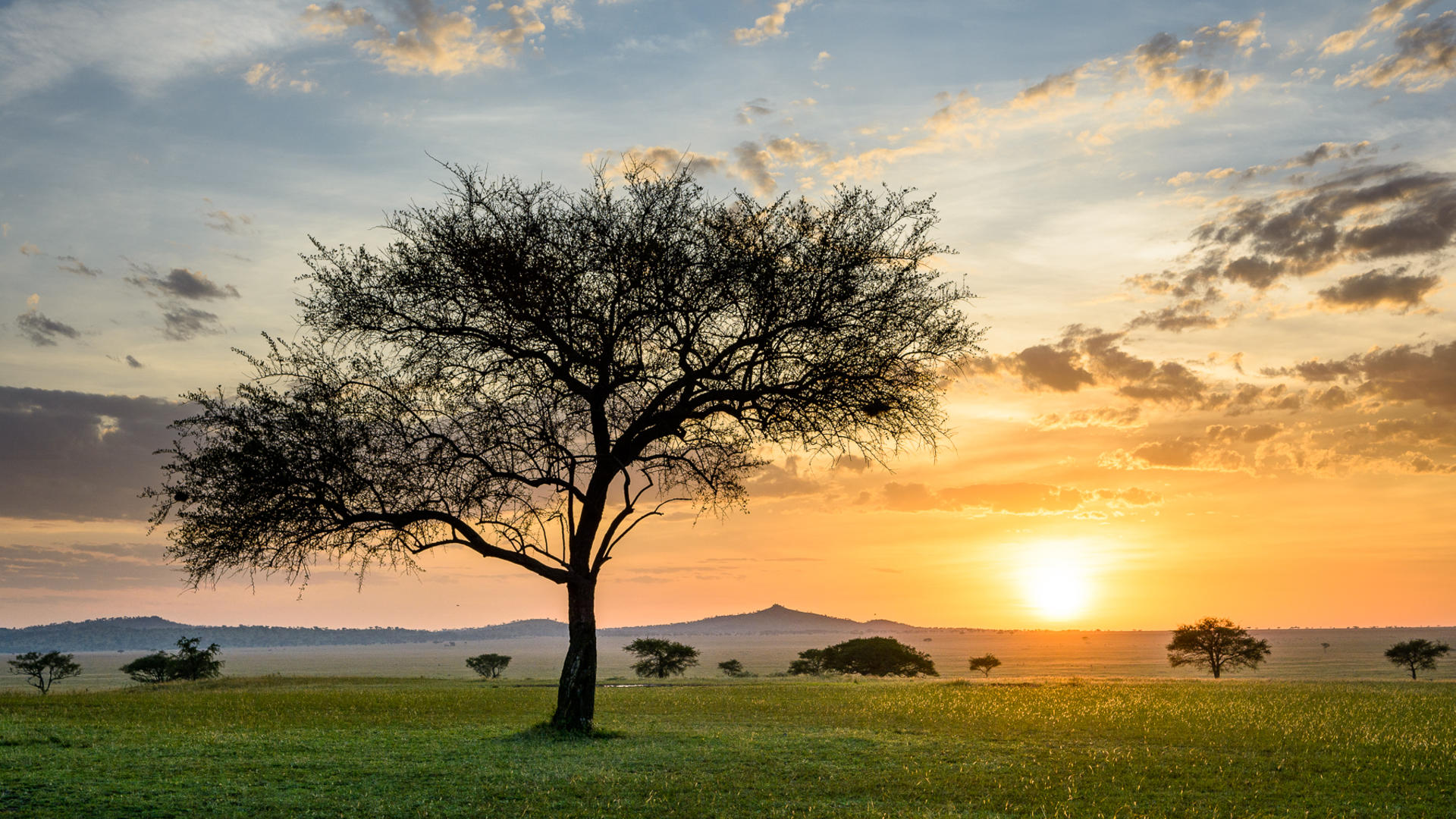 Singita Sabora Tented Camp en Serengeti