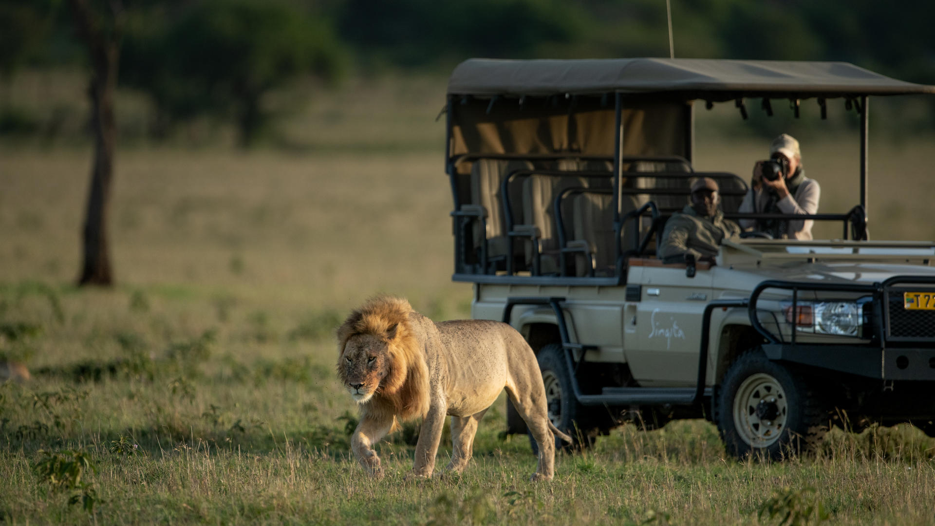 Game drive singita grumeti reserve ross couper 50