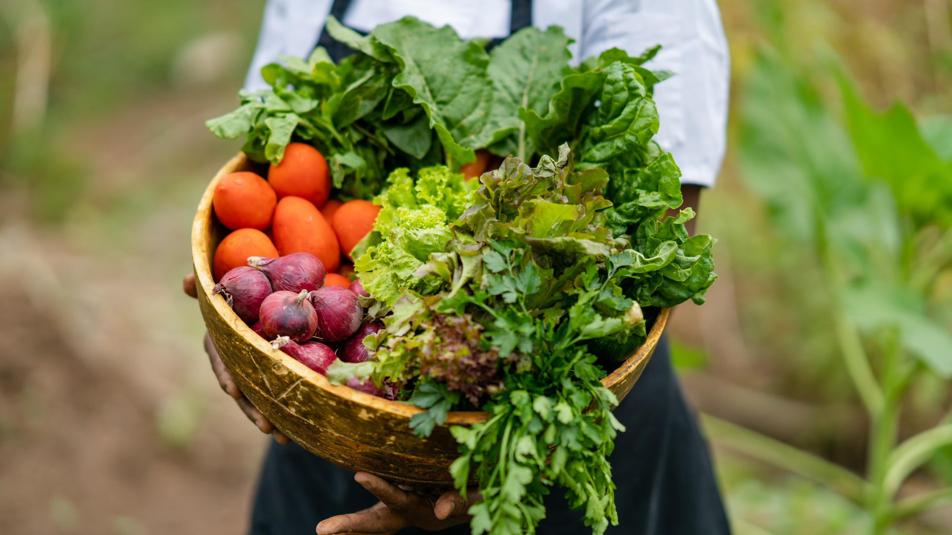 Sasakwa chef in vegetable garden osse sinare 5 1