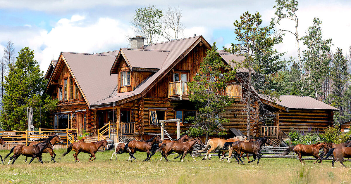 Horses galloping by lodge at siwash lake