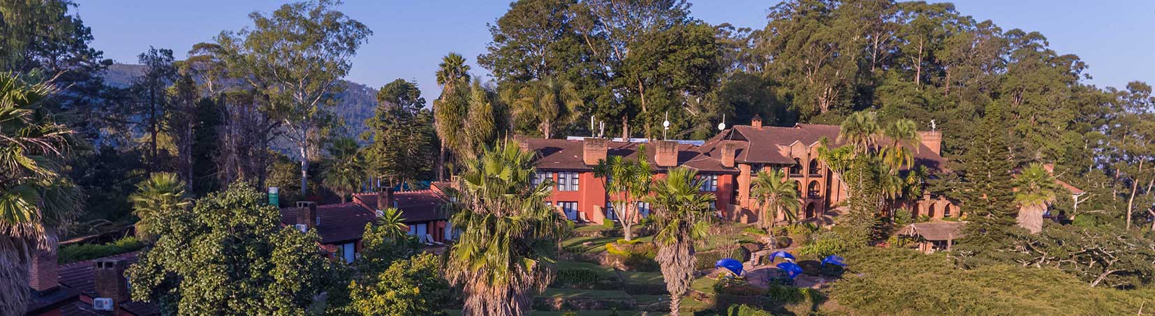 Sunbird Ku Chawe en Meseta de Zomba
