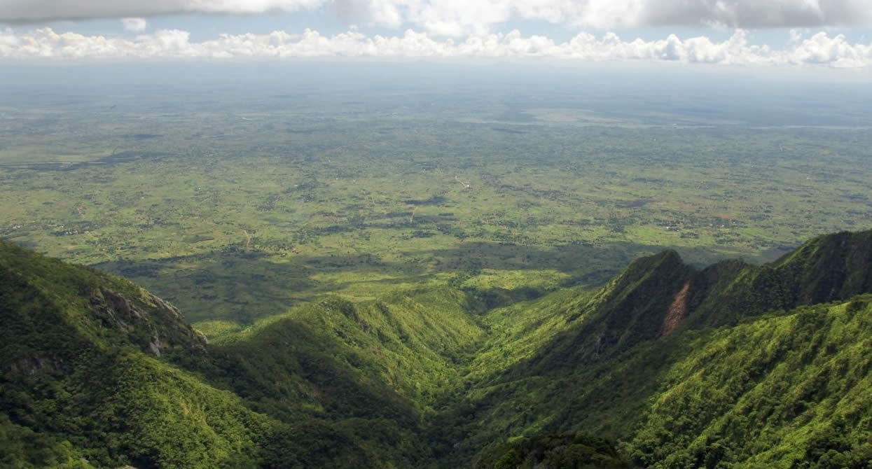 Sunbird Ku Chawe en Meseta de Zomba
