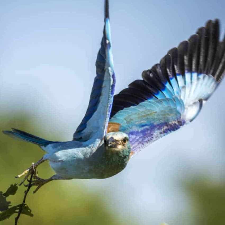 The Hide en Hwange