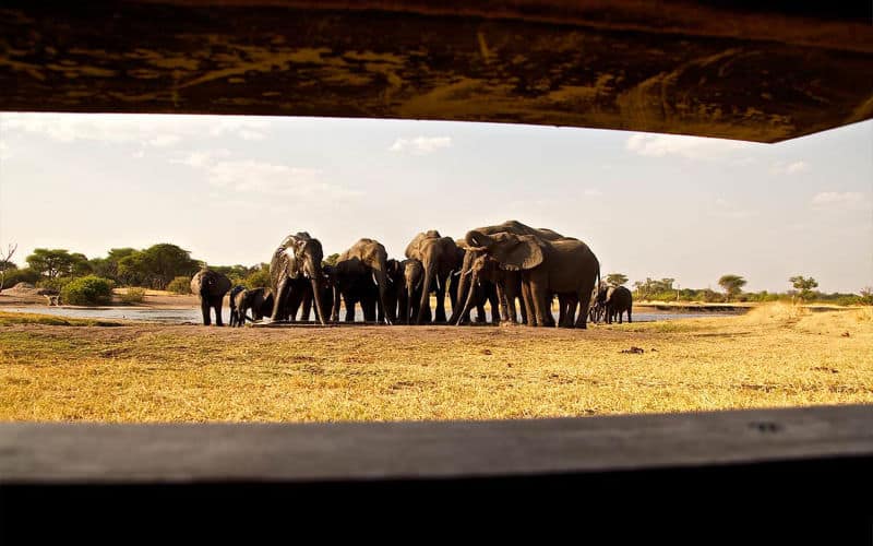 The Hide en Hwange