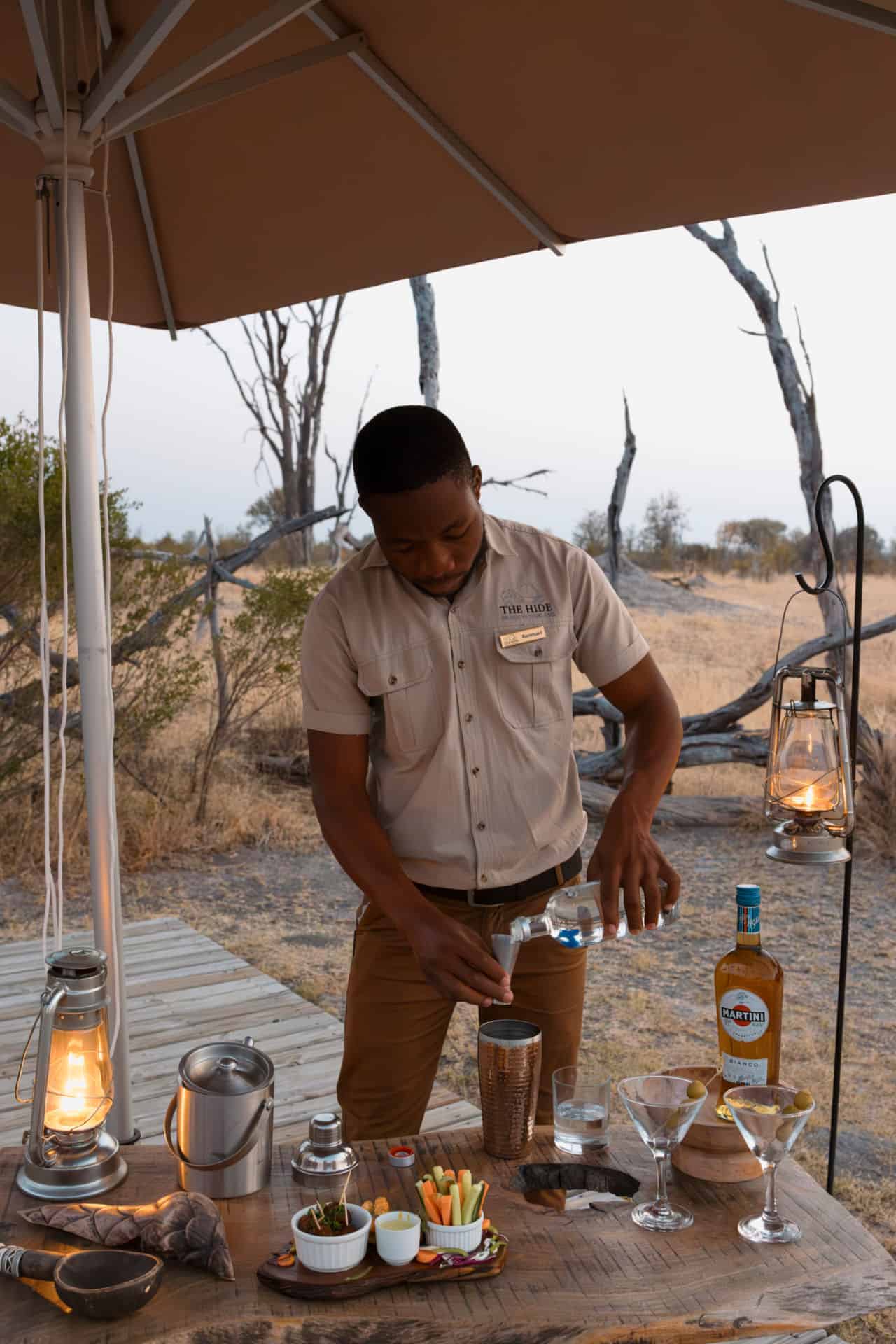 The Private Hide en Hwange