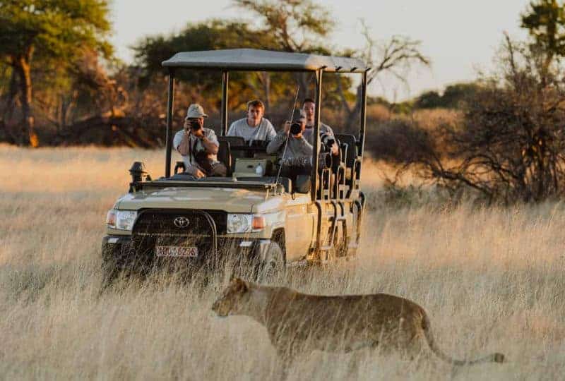 Tom's Little Hide en Hwange