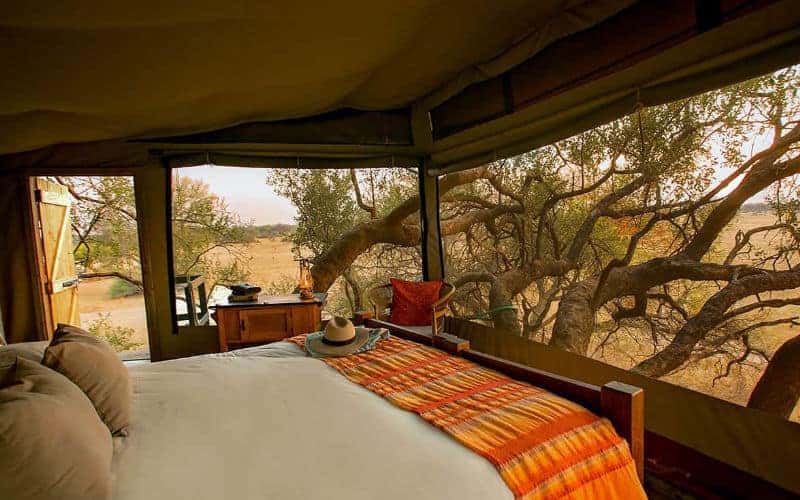Tom's Little Hide en Hwange