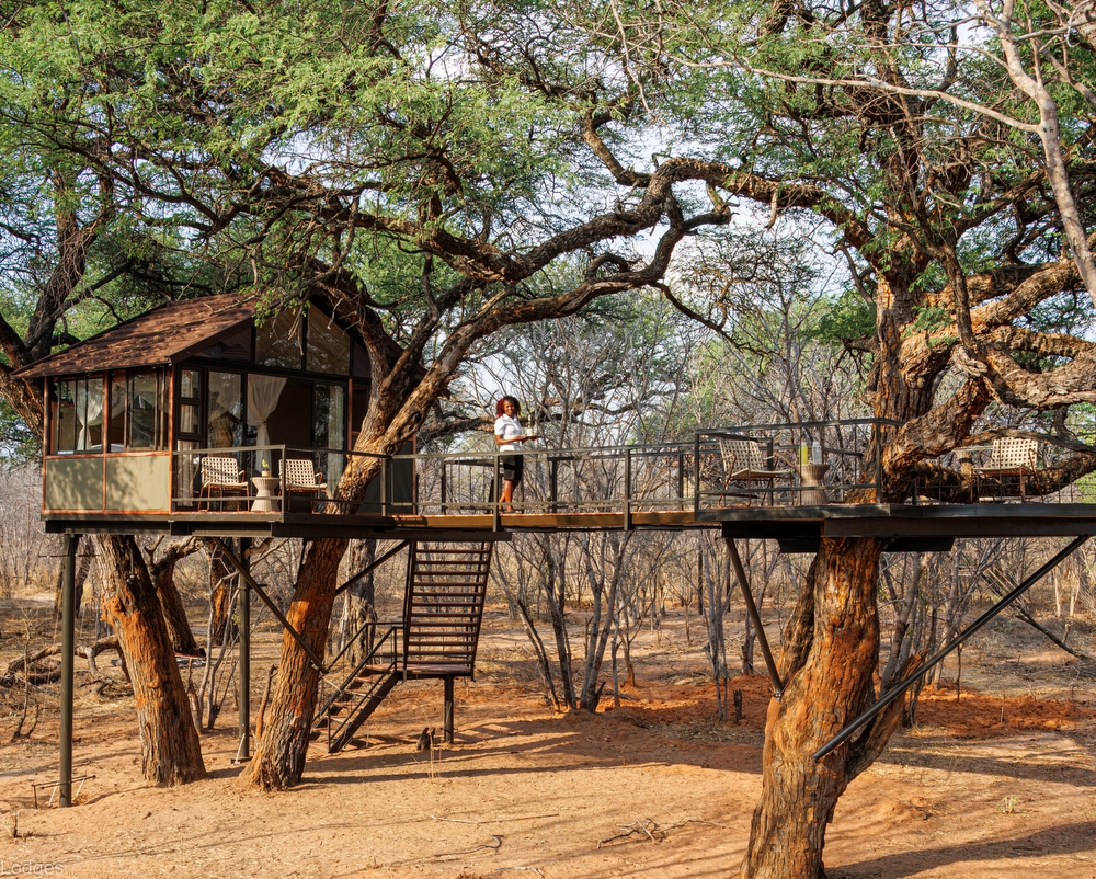 Tum Tum Treehouse Lodge en Hwange