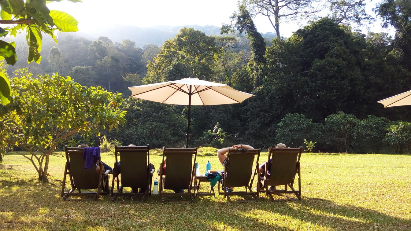 Udzungwa Forest Lodge – Hondo Hondo | LAT.40