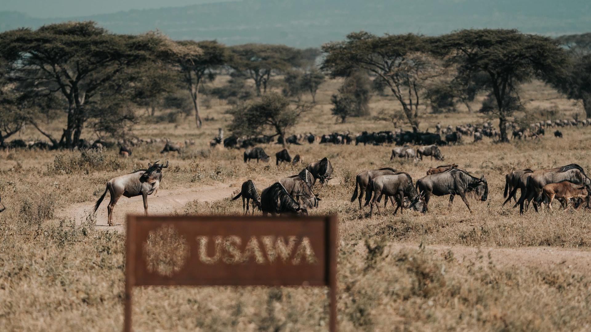 1765895966926usawa wildlife02 25malicky 59
