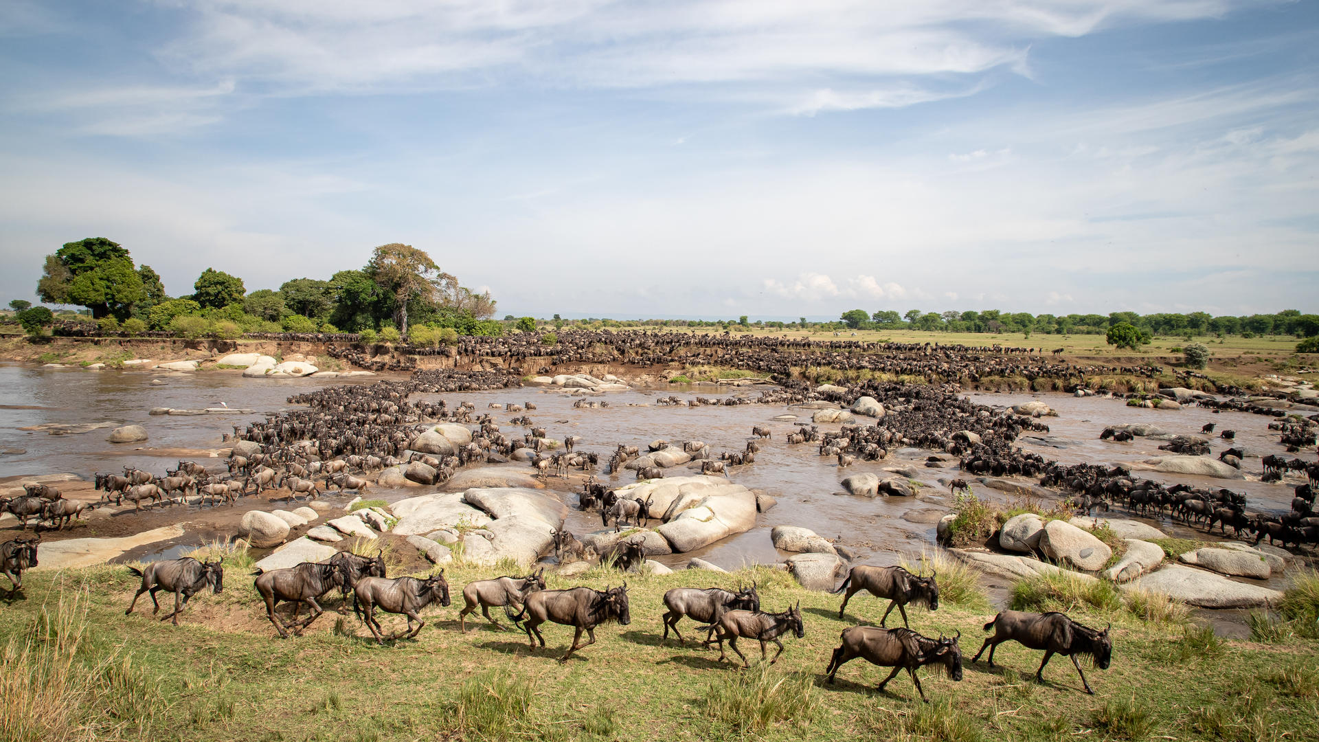 Wilderness Usawa Serengeti en Serengeti