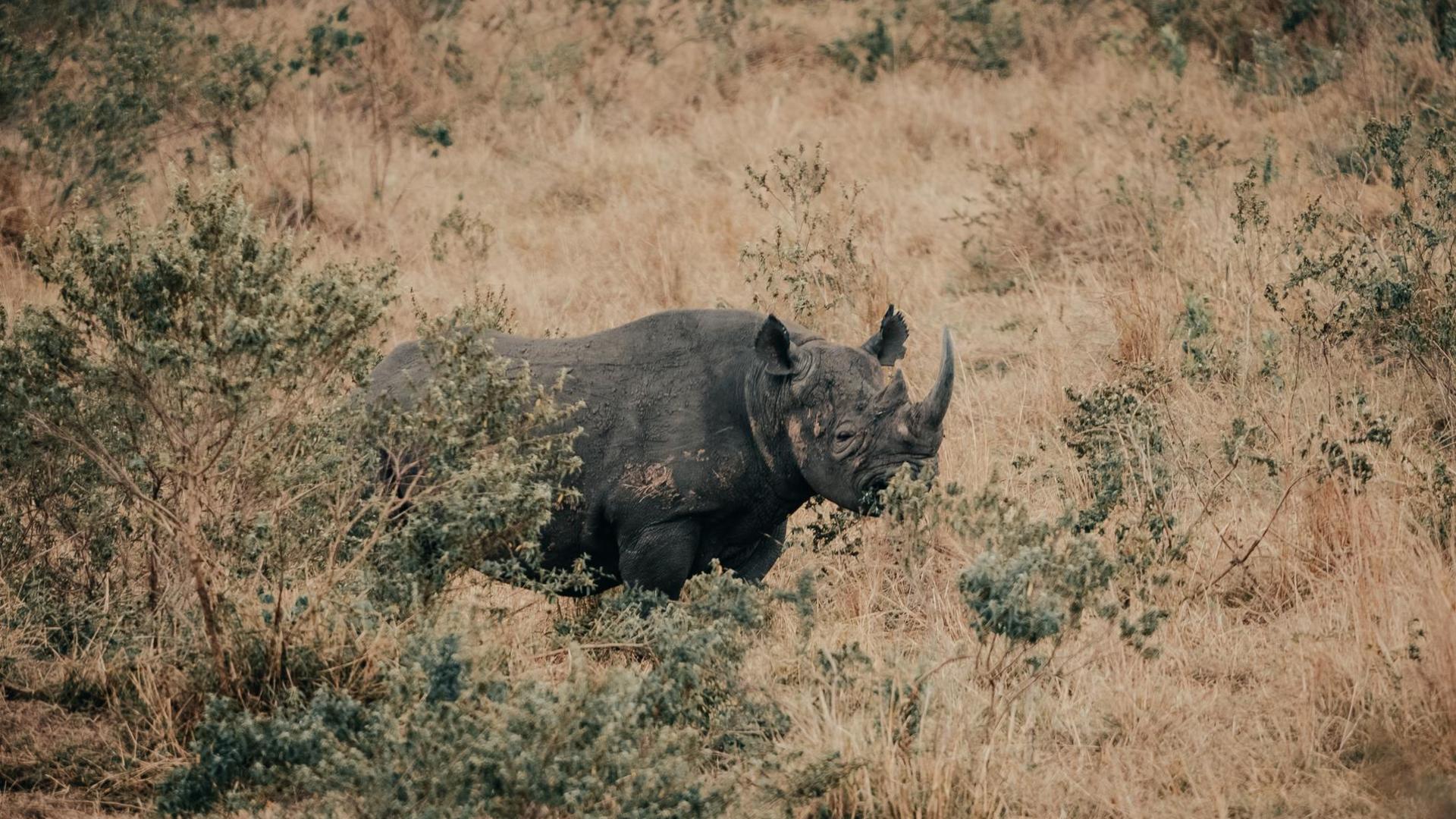 1765895966925usawa n hills sept malickyb 44