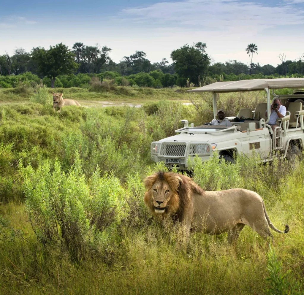 Xigera Safari Lodge en Delta Okavango