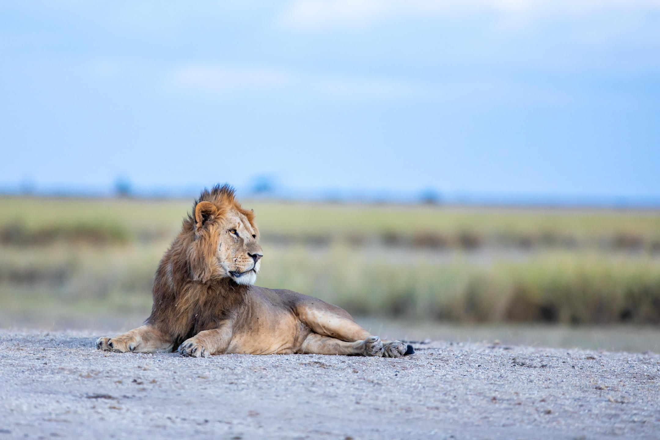 Angama Amboseli en Amboseli