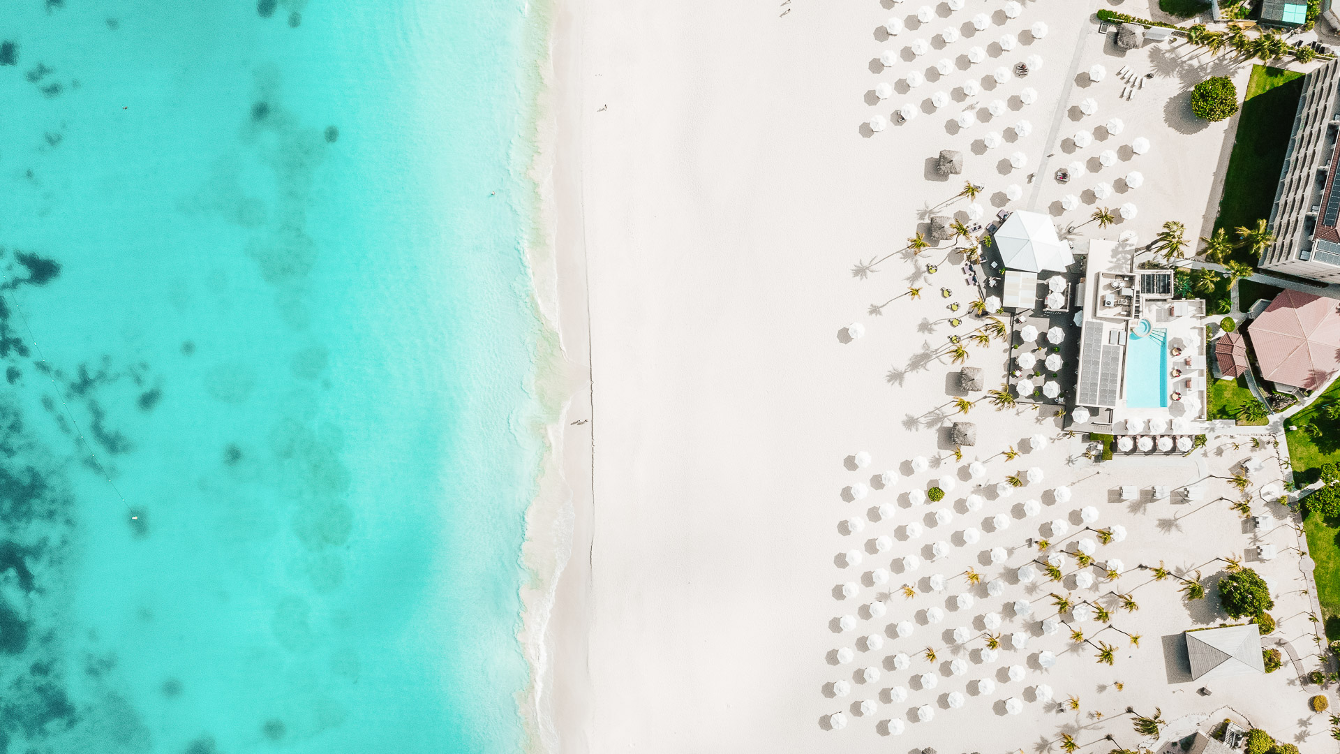Bucuti & Tara Beach Resort en Aruba