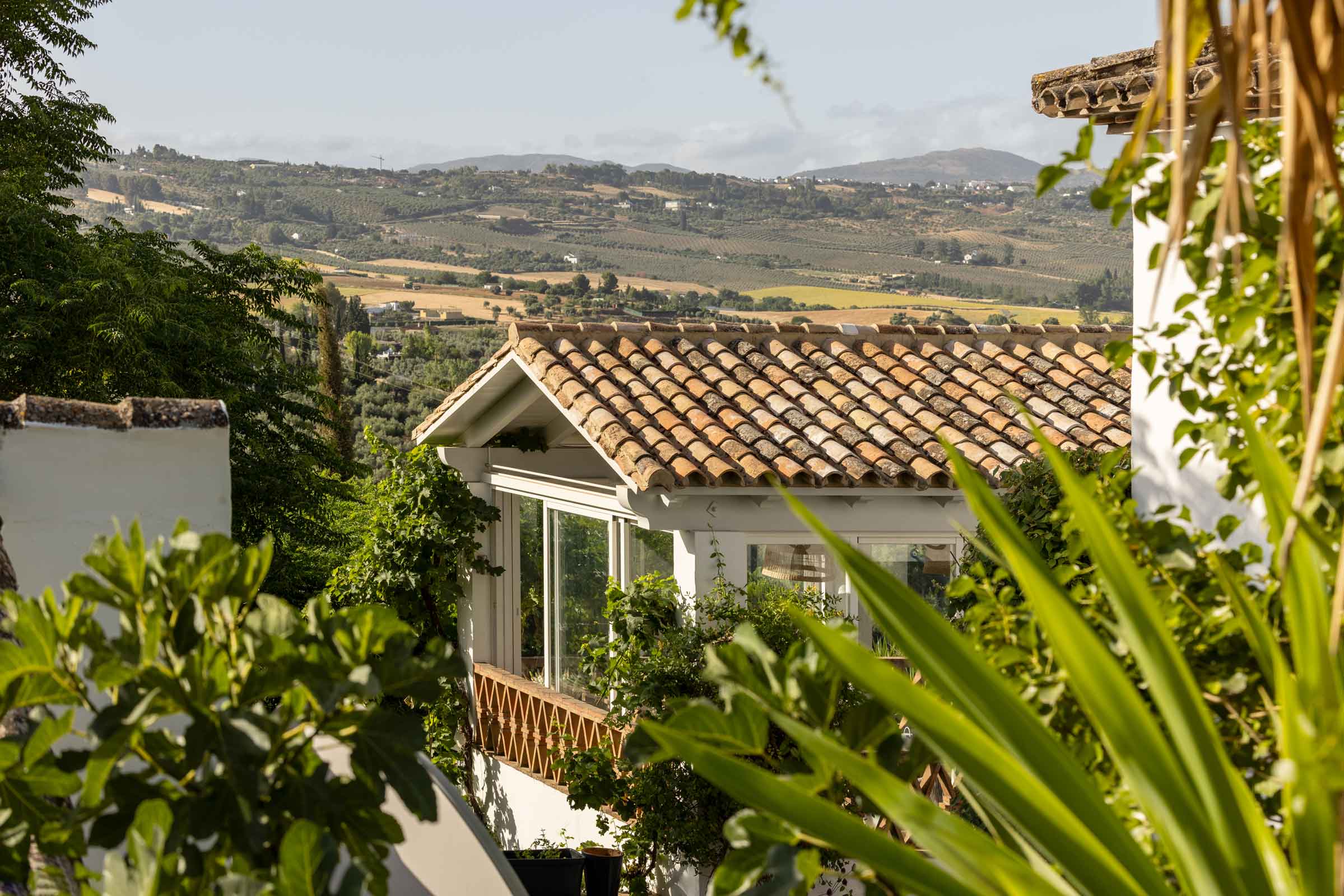 Finca La Morera en Ronda