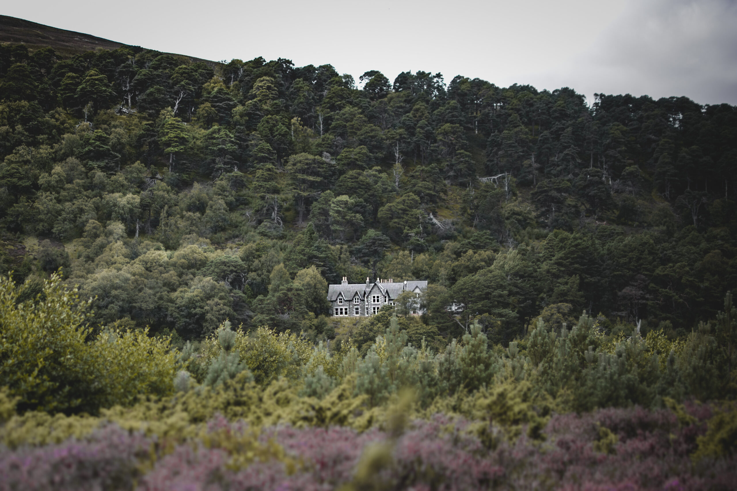 Glenfeshie Lodge | LAT.40
