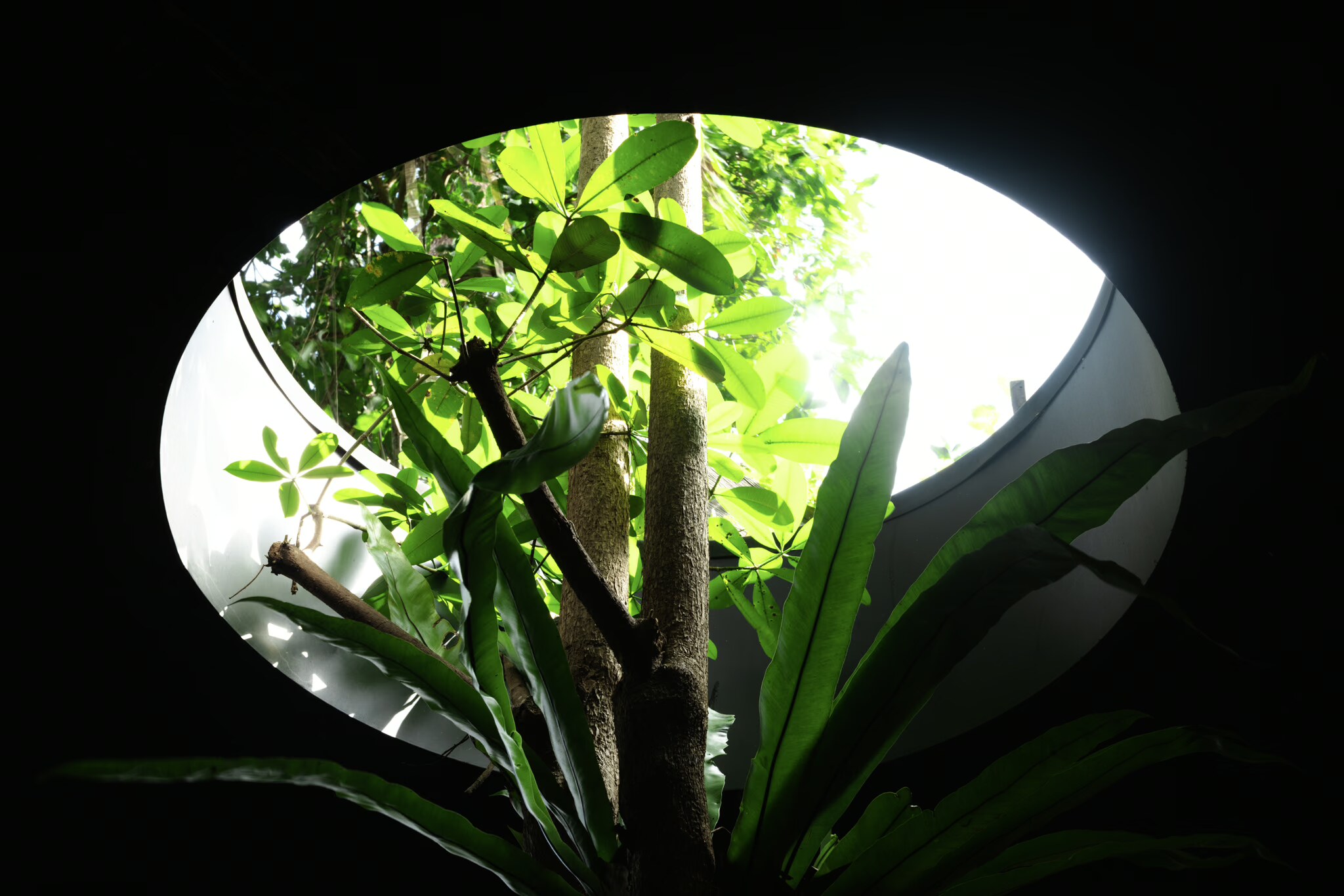 Lost Villa Bali en Canggu