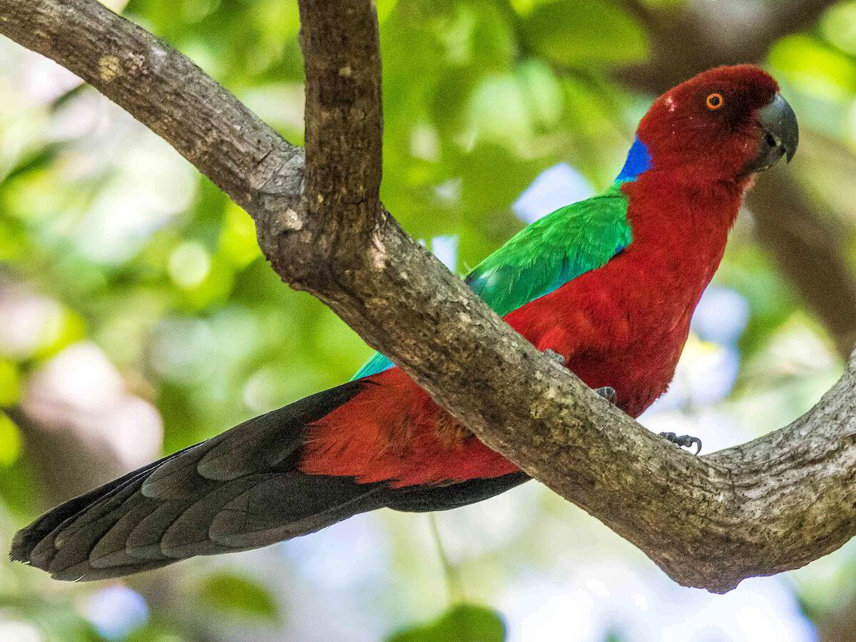 Matava – Fiji Untouched en Fiji