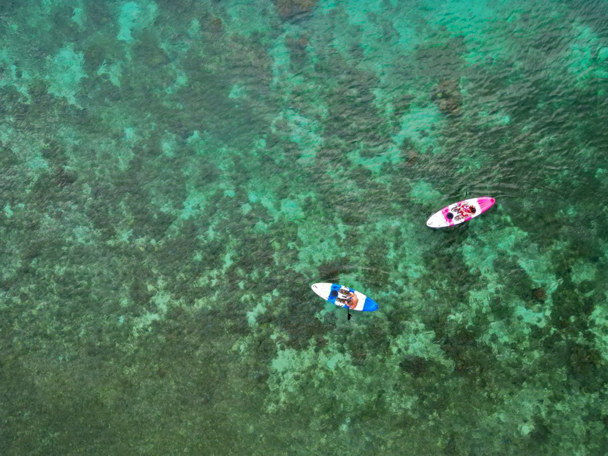 Matava – Fiji Untouched en Fiji