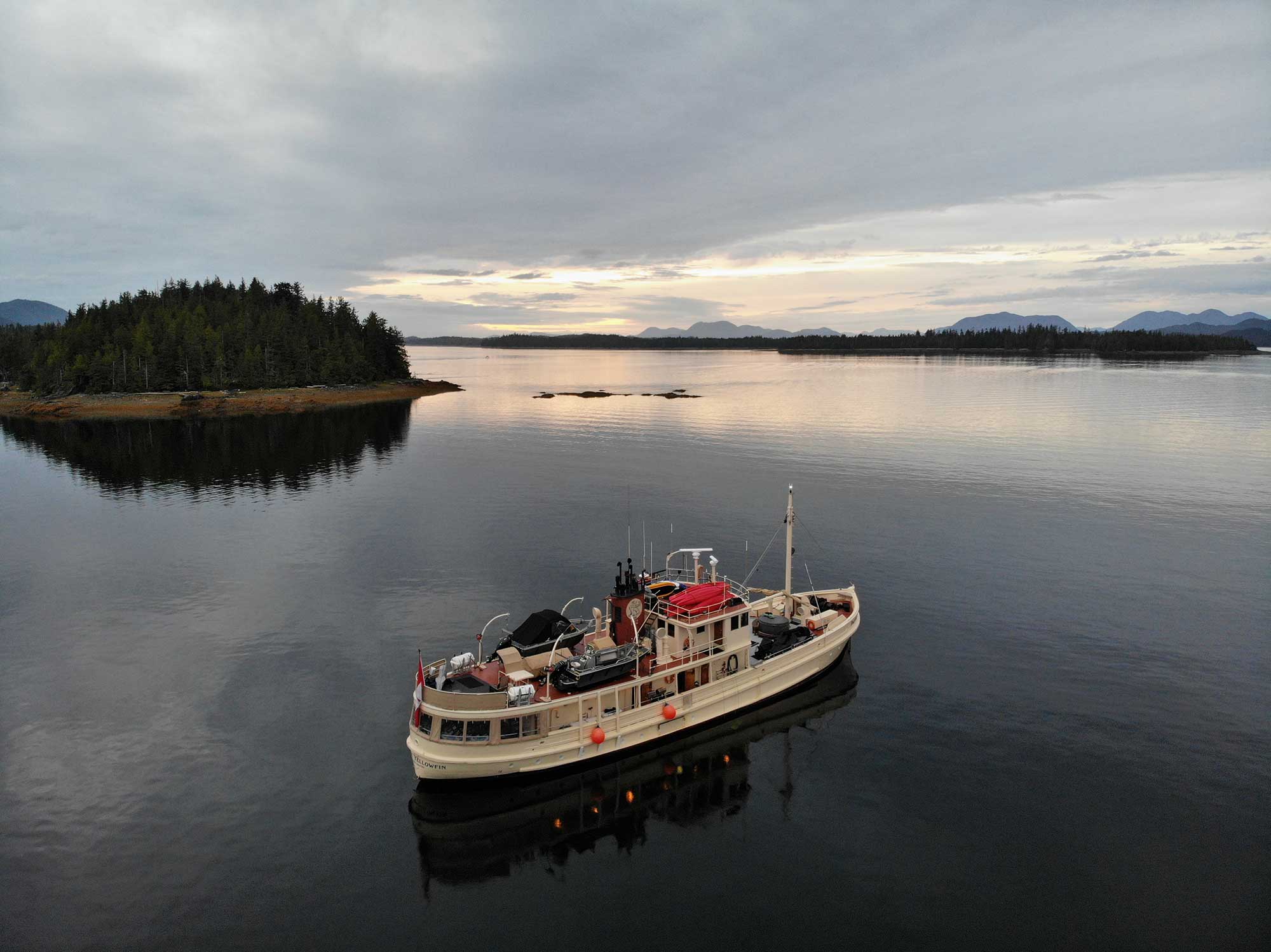 Pacific Yellowfin en Desolation Sound