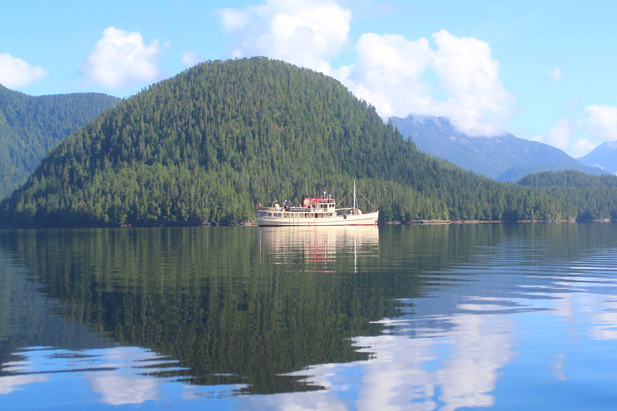 Pacific Yellowfin en Desolation Sound