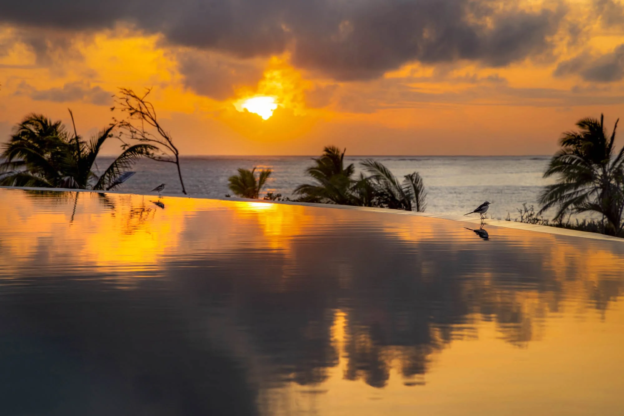 The Beach Palace Kenya en Malindi