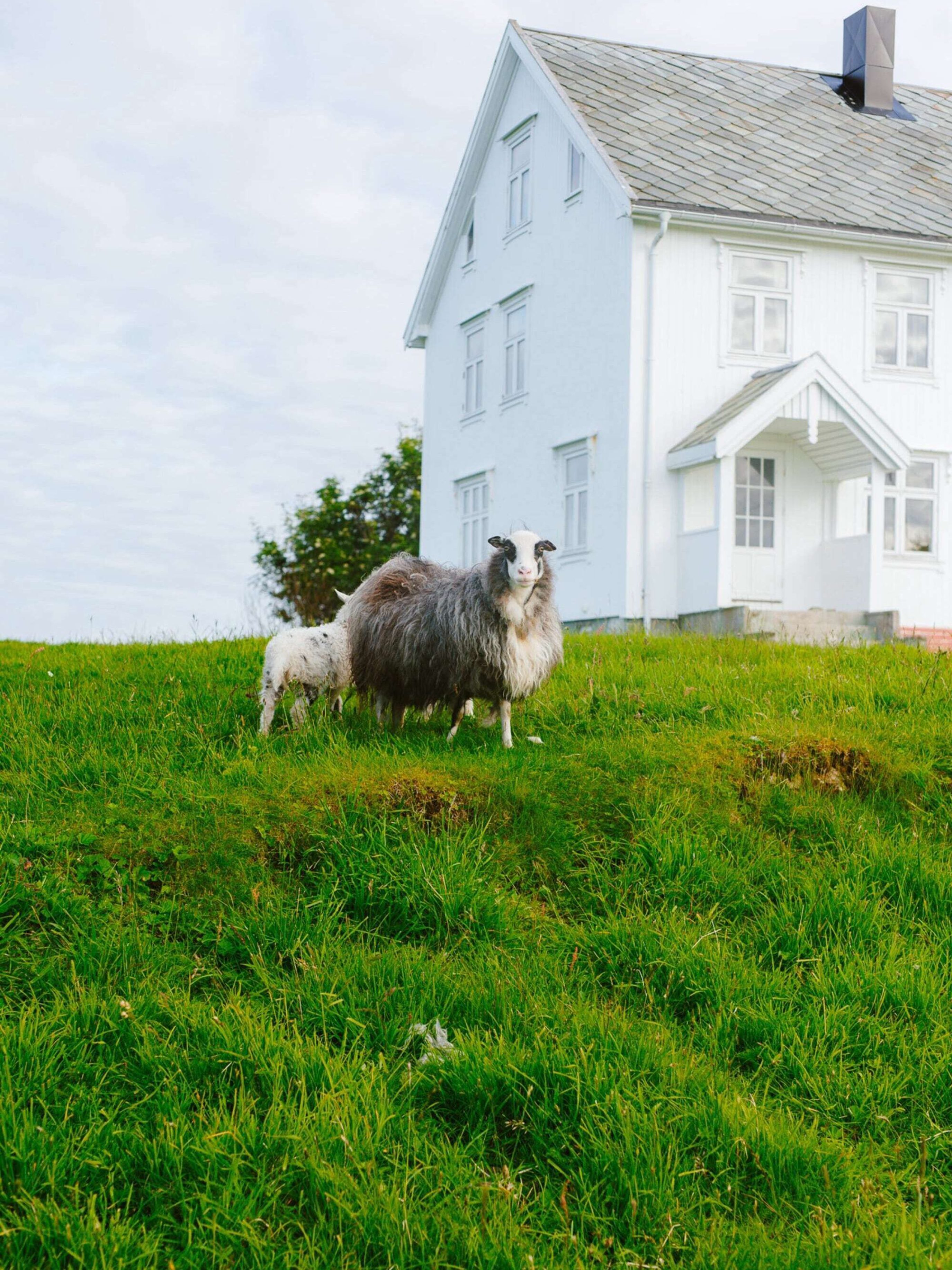 Ytri Island Retreat en Træna