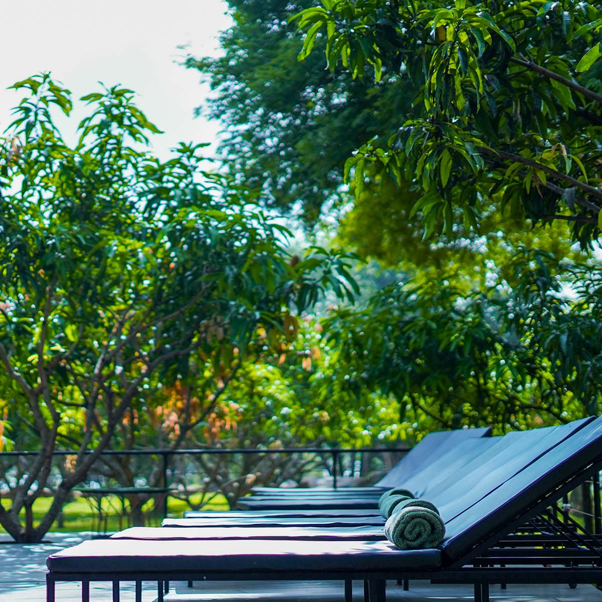 Amba Yaalu – Kandalama en Sigiriya