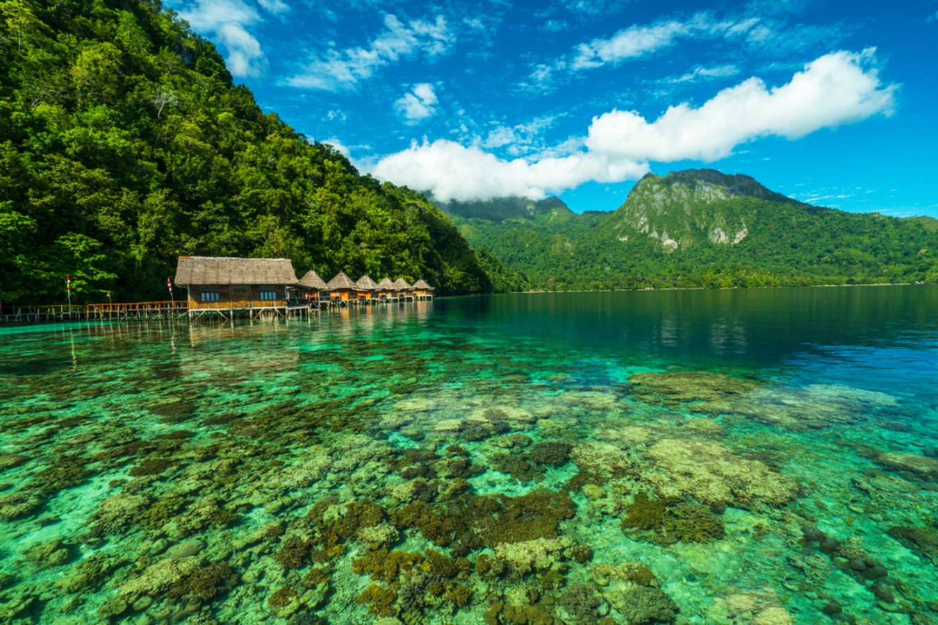 Ora Beach | LAT.40