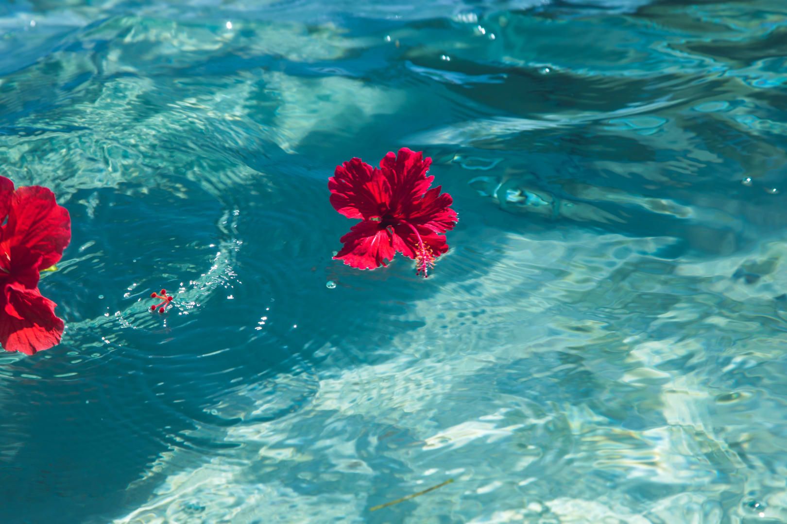 Hoshino Resorts RISONARE Kohamajima en Kohama Island