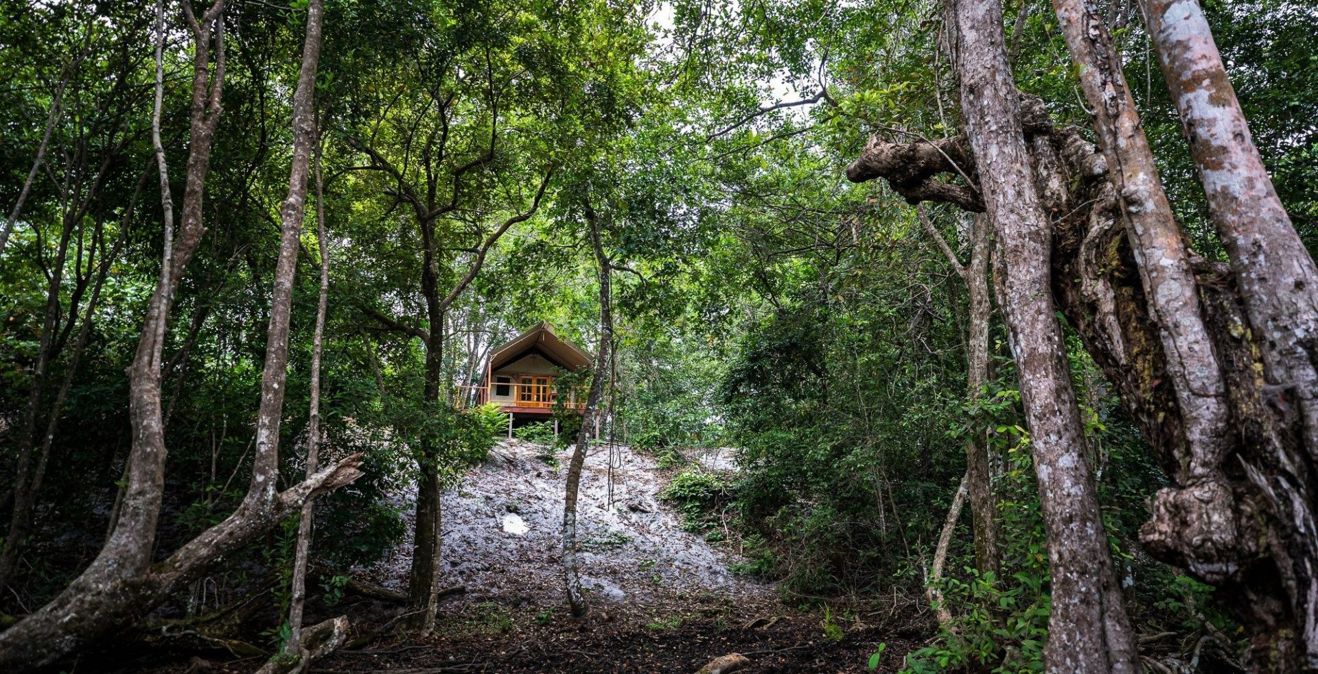 Ndola Luxury Tented Camp en Loango National Park