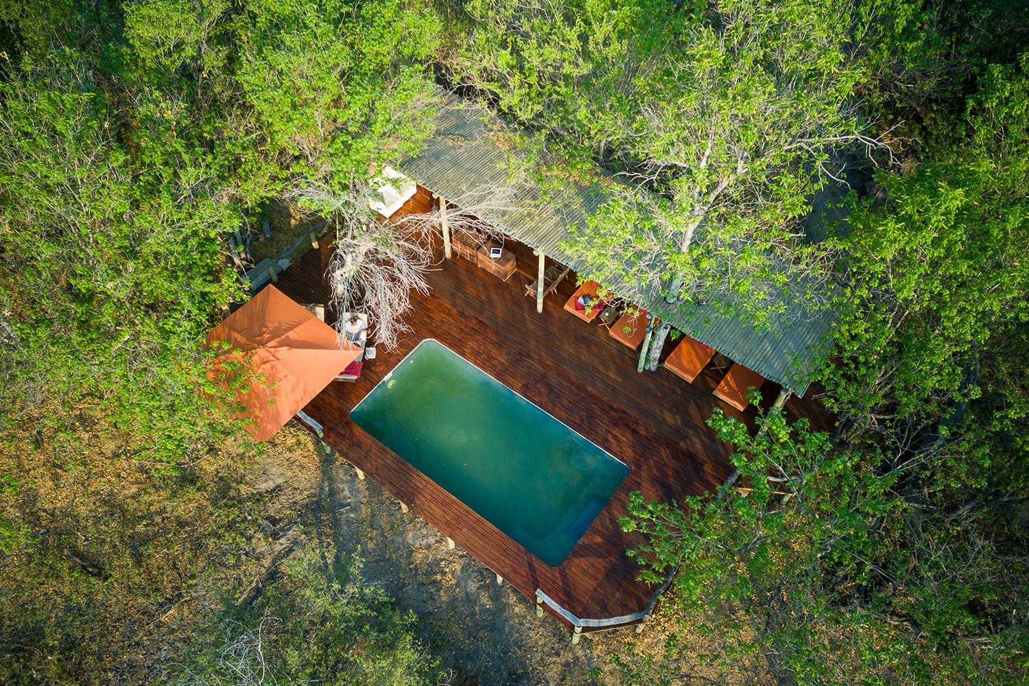 Amber River Camp, Delta del Okavango