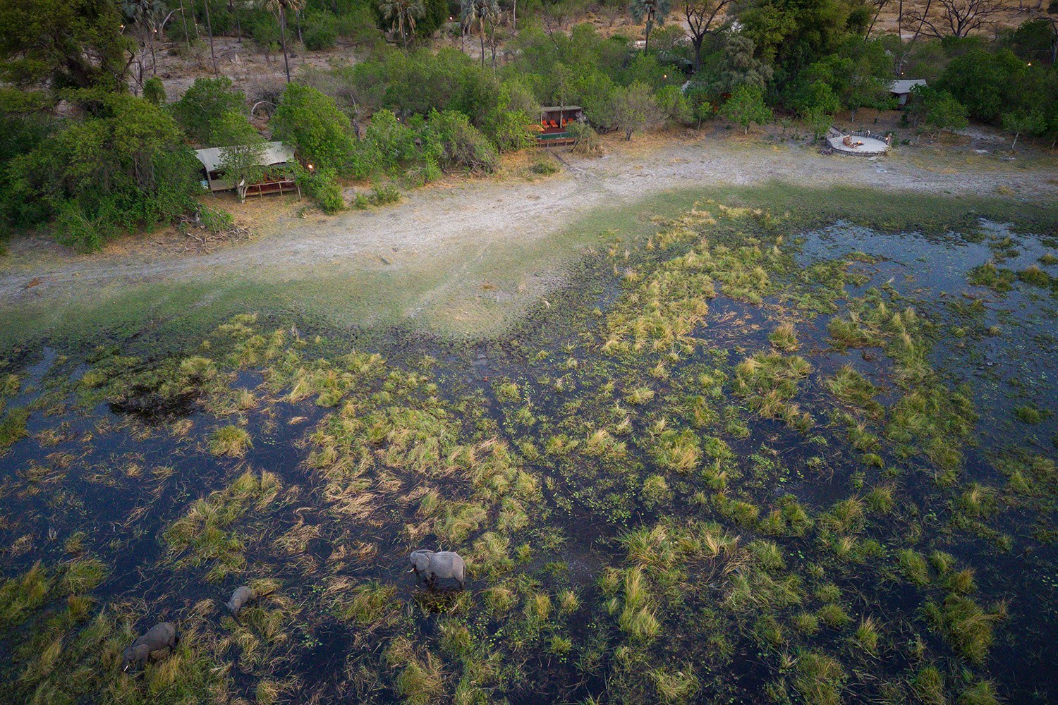 Amber River Camp, Delta del Okavango