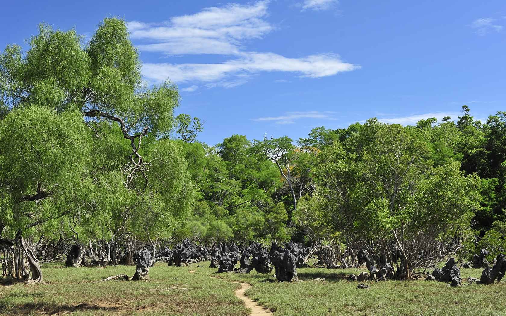 Anjajavy Le Lodge, Anjajavy