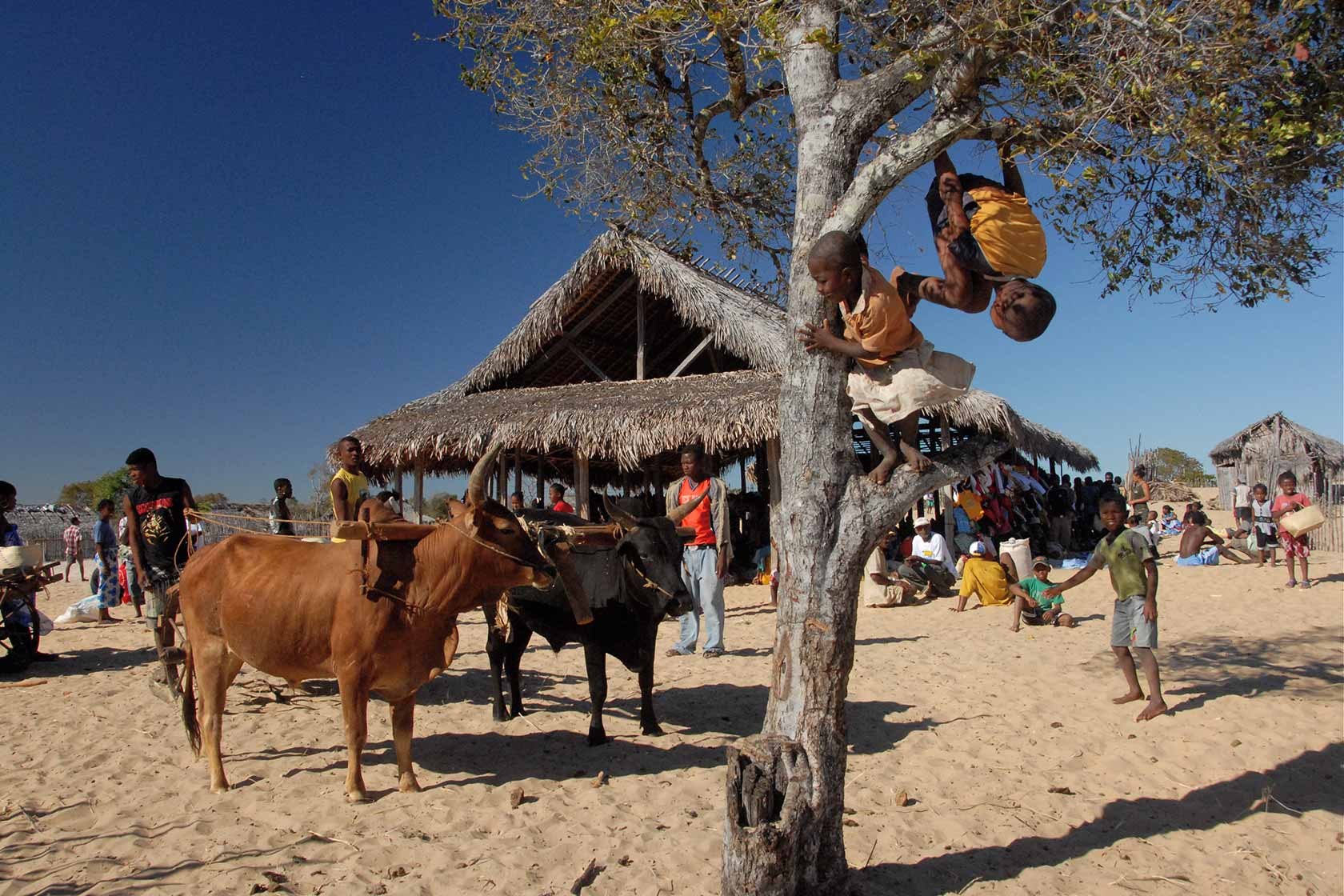 Anjajavy Le Lodge, Anjajavy