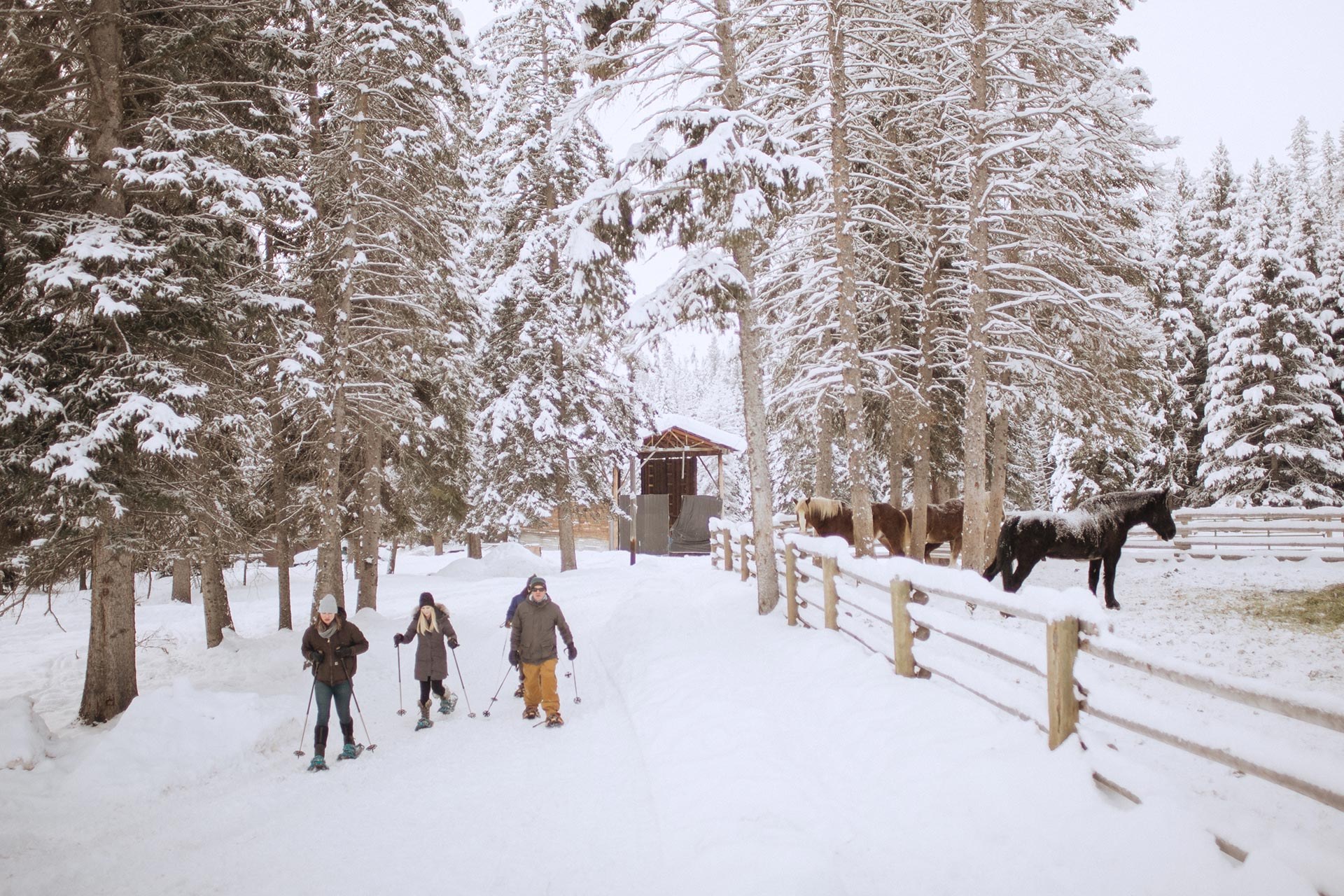 Lone Mountain Ranch winter  teri b photography  1920px