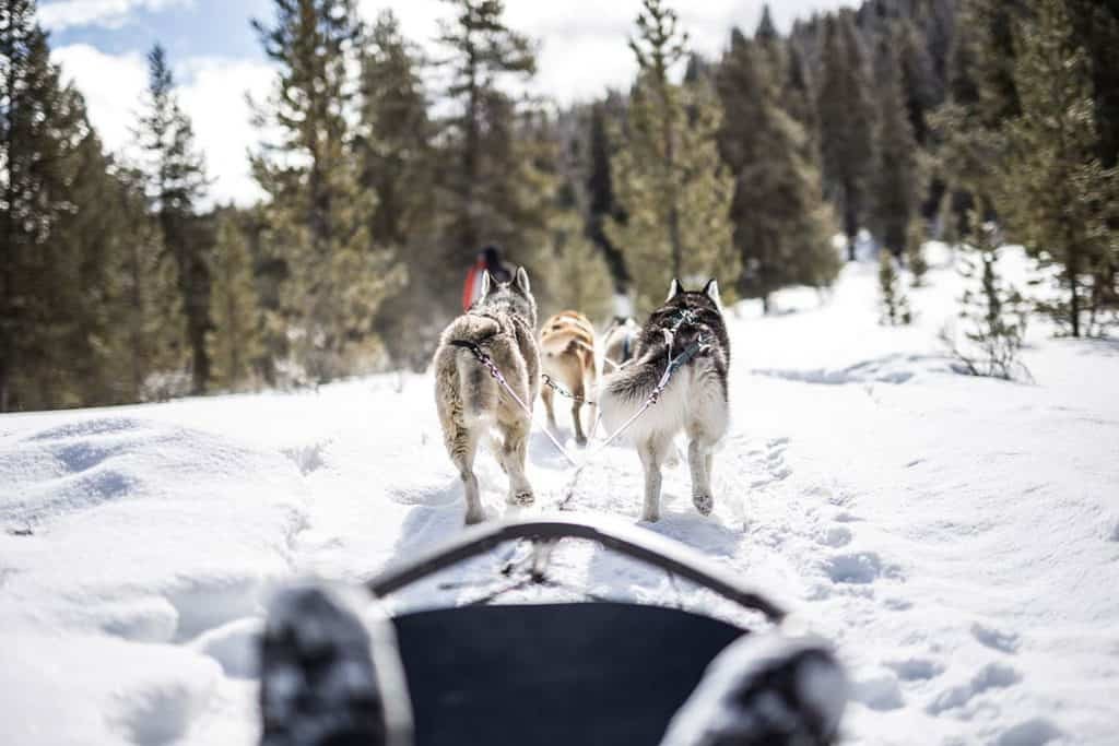 realAdventureBG 1024x683